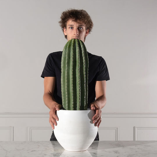 Artificial Plant in Pot Cactus Green 60cm Supergreens