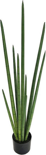 Yucca В Саксия 22см Supergreens