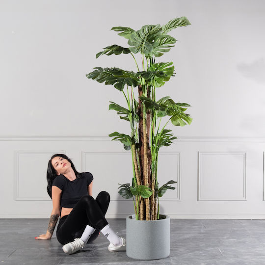 Μονστέρα Εξωτερικού Χώρου 195cm Supergreens