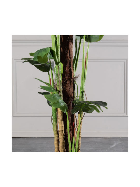 Μονστέρα Εξωτερικού Χώρου 130cm Supergreens