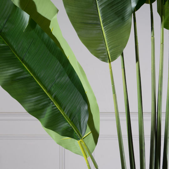 Artificial Outdoor Tree Bird of Paradise Green 250cm Supergreens