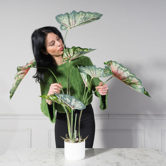 Artificial Plant in Pot Caladium Green 95cm Supergreens