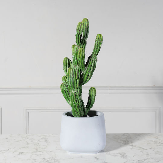 Künstlicher Baum für den Außenbereich Euphorbia Grün 67cm Supergreens