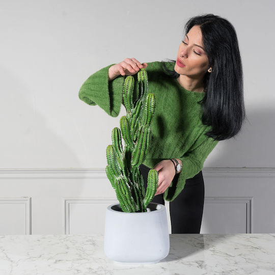 Künstlicher Baum für den Außenbereich Euphorbia Grün 67cm Supergreens