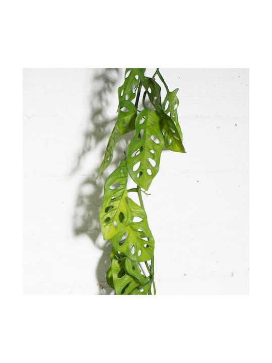 Διακοσμητική Γιρλάντα Μονστέρα 124cm Supergreens