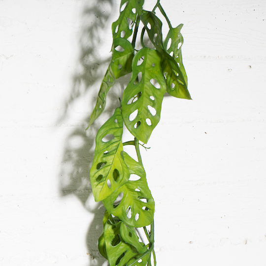 Διακοσμητική Γιρλάντα Μονστέρα 124cm Supergreens