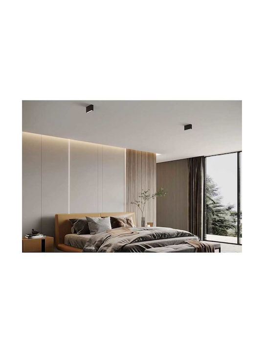 Lightplanet LED Alb Natural Spot în Culoare Alb