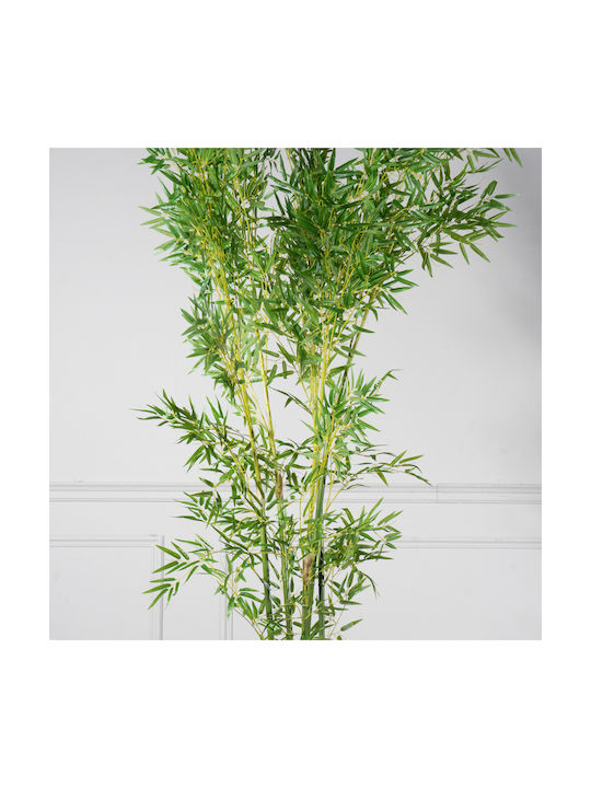 Φίκος Εξωτερικού Χώρου 240cm Supergreens