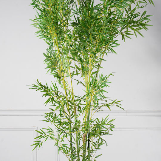 Φίκος Εξωτερικού Χώρου 240cm Supergreens