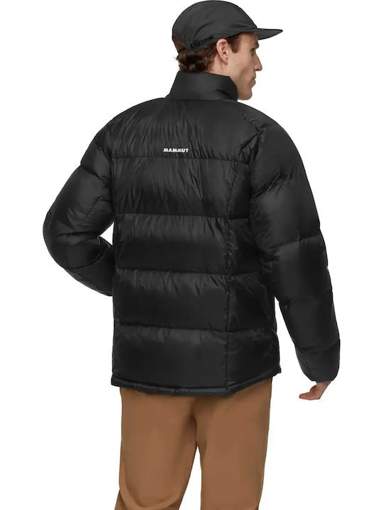 Mammut Mammut