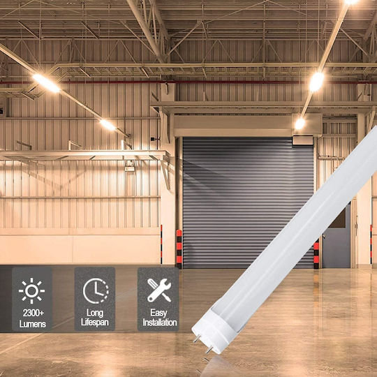 Led Tube T8 40w 4000lm Transparent 1.2m 6500k Cool Light