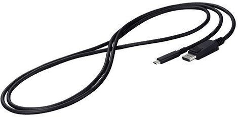 Eizo USB 2.0 Video Cable USB-C male - DisplayPort Μαύρο 2m CP200-BK
