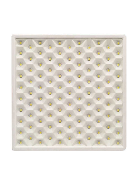 Lightplanet Panou LED Putere 22W cu Alb Rece Lumini