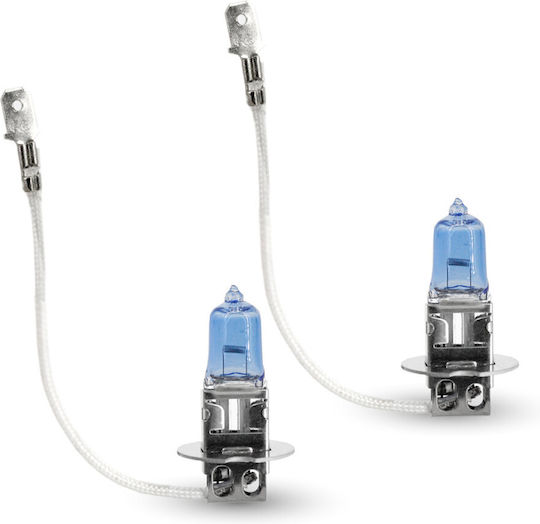 CarGuard Λάμπες Αυτοκινήτου H3 Αλογόνου Λευκό 12V 55W 2τμχ