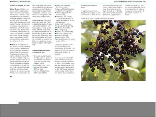 Socul: Cultivare, Utilizare In Gastronomie Si In Farmacia Casei - Kohut Ildiko