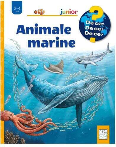 Animale Marine - Anita Van Saan