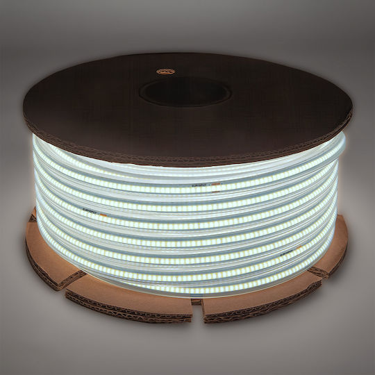 Eurospot Водоустойчива LED Лента 220V Тип COB