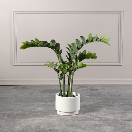 Supergreens Topf Beton 20x20x16cm.