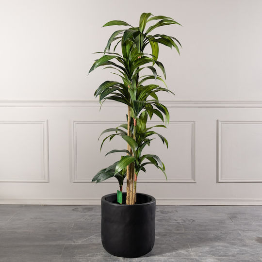 Supergreens Topf Beton 38x38x38cm.