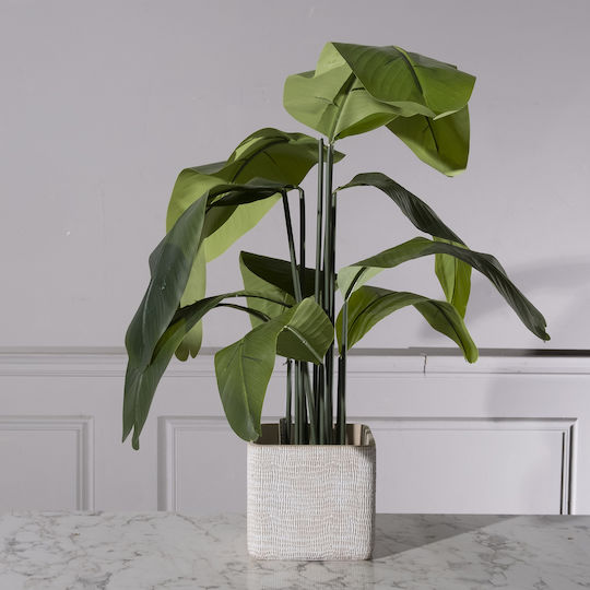 Supergreens Κασπώ Τσιμεντένιο Λευκό 21.5x21.5x20.5εκ.