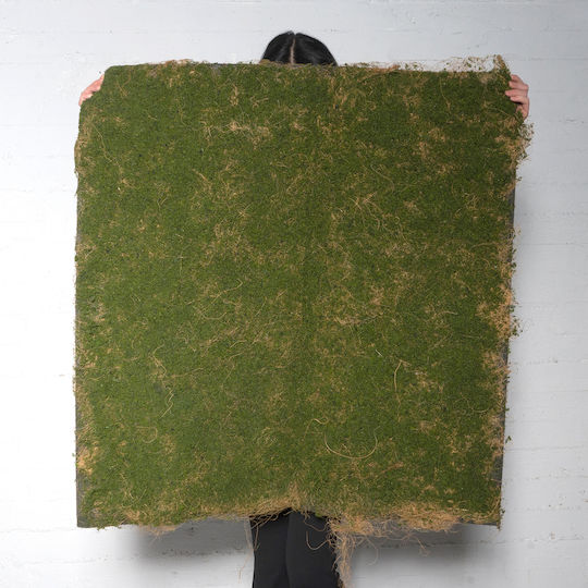 Supergreens Artificial Foliage Panel Moss Green 1x1m