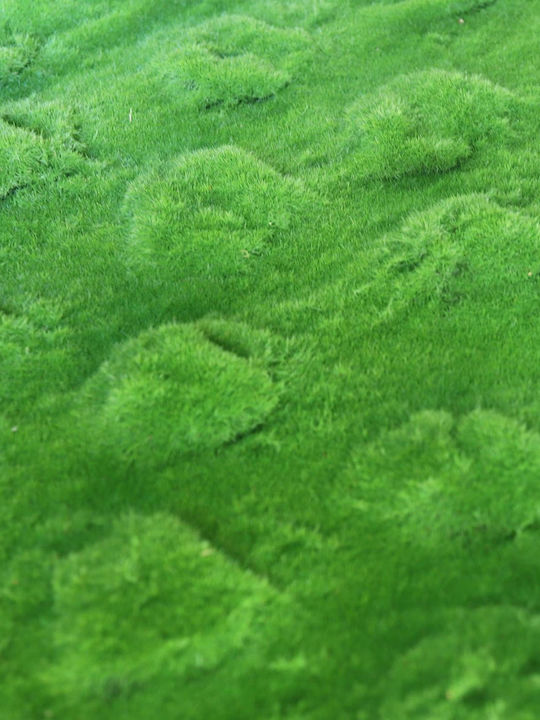 Supergreens Συνθετικό Πάνελ Φυλλωσιάς Moss Wavy Πράσινη 1x1m