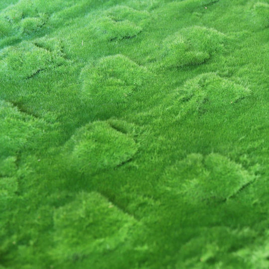 Supergreens Künstliches Laubpaneel Moos Wellig Grün 1x1m