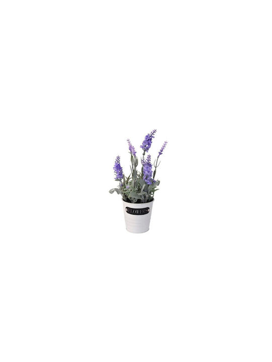 Λεβάντα σε Γλαστράκι 29cm (Διάφορα Χρώματα) Next