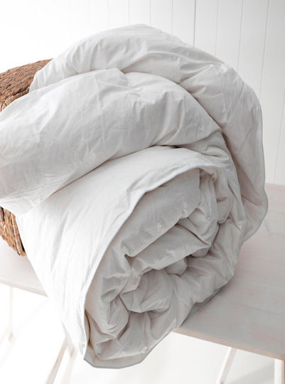 Vesta Home Vienna