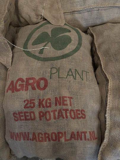 AgriMore Samen