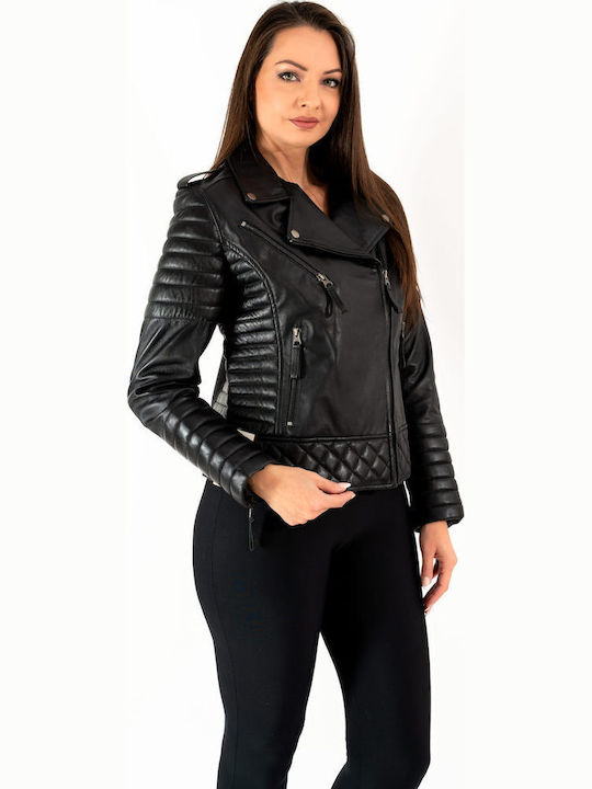 Leatherland