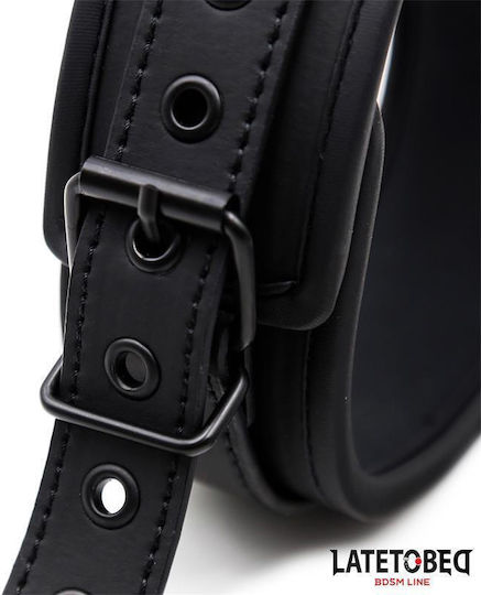 Set Collar Leash Neoprene Black