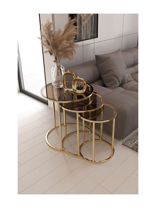 SteweHome Kaffeetische 4 Stück Zigon Form C Glas Bronze 75x45cm