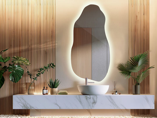 Tulup Wall Mirror with LED Lighting 80x40cm 1pcs