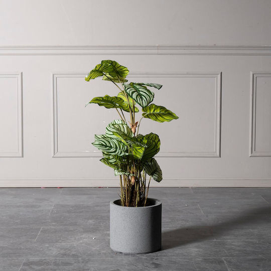 Καλαθέα σε Γλάστρα 90cm Supergreens
