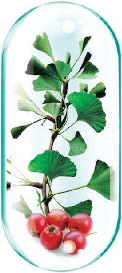 Gingko Forte Plus Rotta Natura 30 Capsule