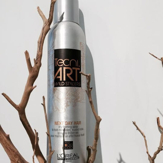 L'Oréal Professionnel Tecni Art Wild Stylers Next Hair Day 250ml