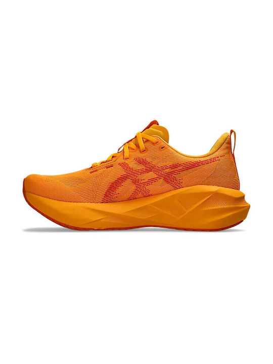 Novablast 5 Men's Sport Shoes Running Yamabuki / Anzu