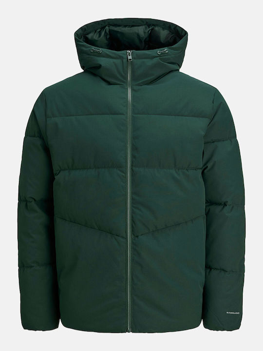 Winter Jacket Puffer Scarab