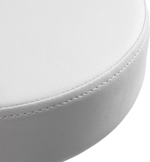 Salon Stools Scaun