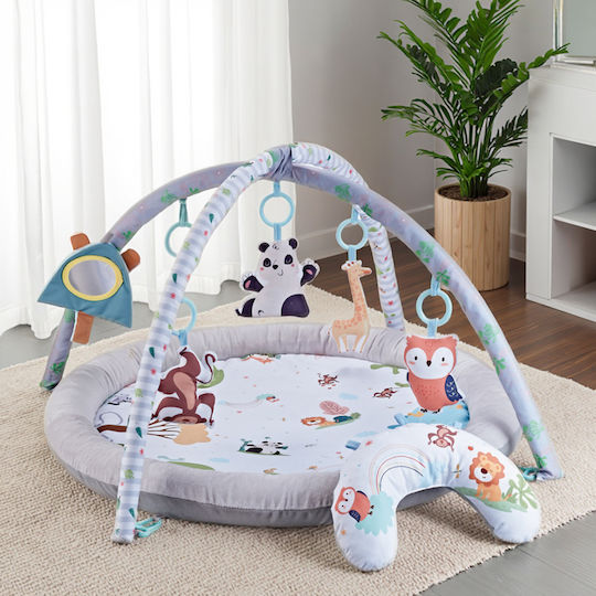 Activity Gym for Newborns