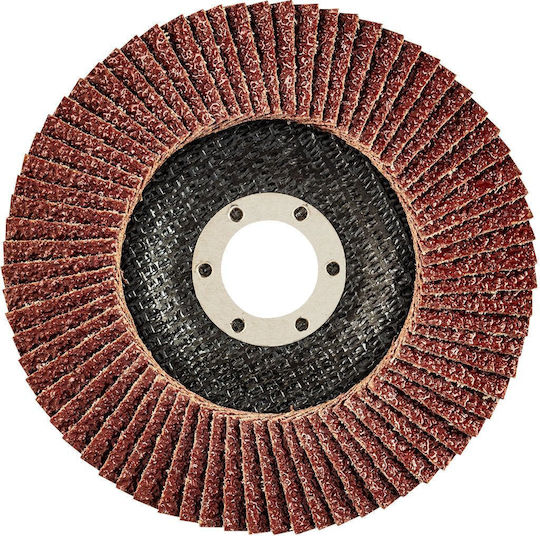 Graphite Grinding Disc Metal 125mm