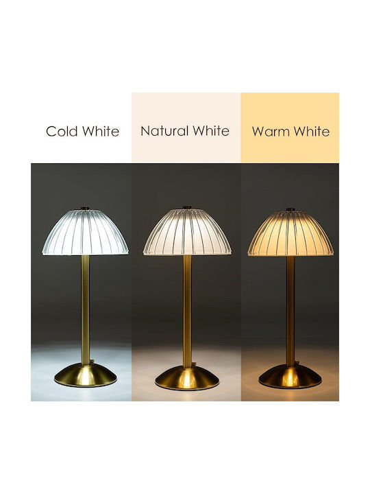 Decorative Lamp Gold
