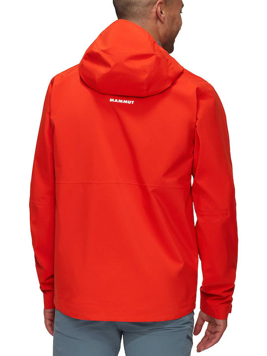 Mammut
