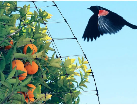 Verk Group Repellent Net Birds 4x10m