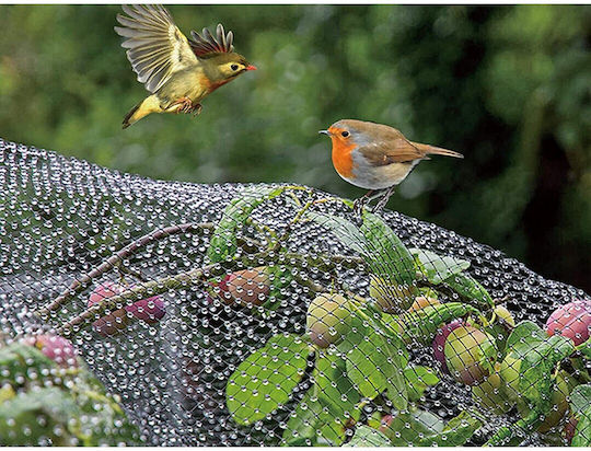 Verk Group Repellent Net Birds 4x10m