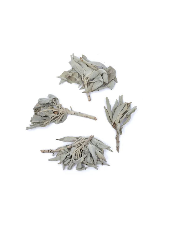 Purification White Sage Smudge Leaves White Sage Leaves 30g