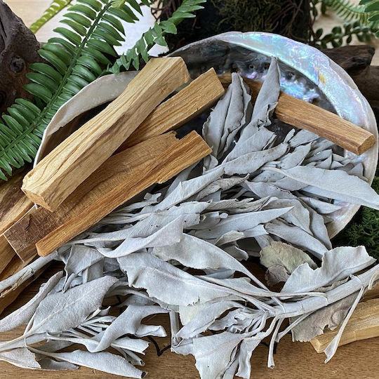 Purification White Sage Smudge Leaves White Sage Leaves 30g