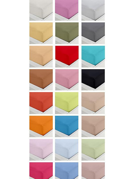 Sunshine Sheet Super-Double with Elastic 160x200+40cm. Menta 152 2 Ecru