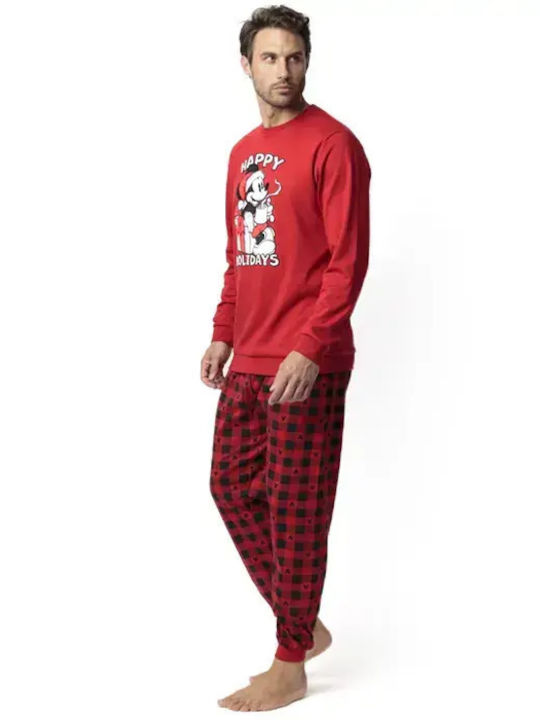 Admas Red